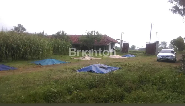 image TANAH KAVLING LUAS 35 HEKTAR DI LOKASI FUTURE DEVELOPMENT KABUPATEN SUBANG, JAWA BARAT (3)