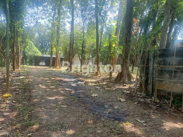 image TANAH LUAS NAN TEDUH DI PINGGIR JALAN RAYA (4)