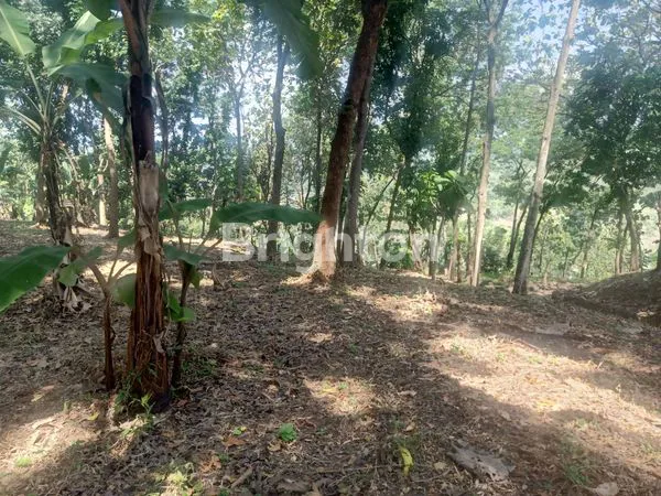 image TANAH LUAS NAN TEDUH DI PINGGIR JALAN RAYA (3)