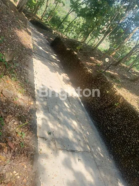 image TANAH LUAS NAN TEDUH DI PINGGIR JALAN RAYA (5)