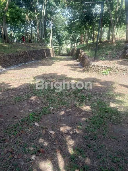 image TANAH LUAS NAN TEDUH DI PINGGIR JALAN RAYA (6)