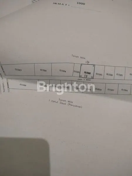 INVESTASI LANGKA TANAH TABANAN