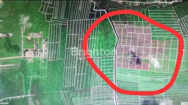 BUTUH CEPAT LAKU, TURUN DRASTIS...TANAH DAERAH PENITI LUAR KALIMANTAN BARAT