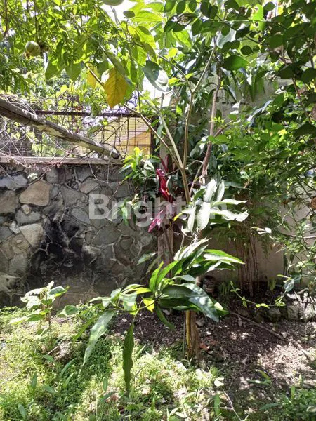 image RUMAH TENGAH KOTA (7)