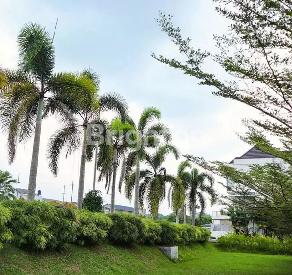 image JOHOR SUMMERVILLE (6)