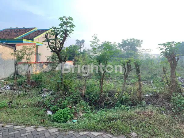 image TANAH KAVLING SIAP PAKAI (3)