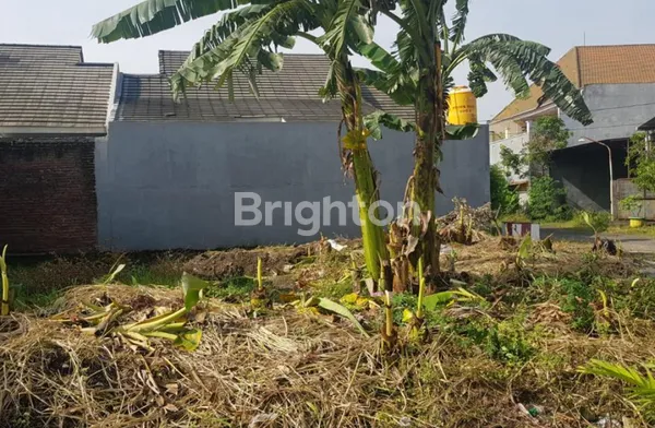 image TANAH PERUMAHAN MUTIARA CITRA GRAHA SIDOARJO (2)