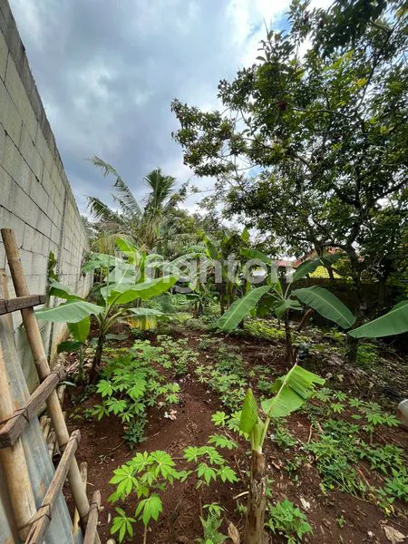 image BENDO LAND (4)