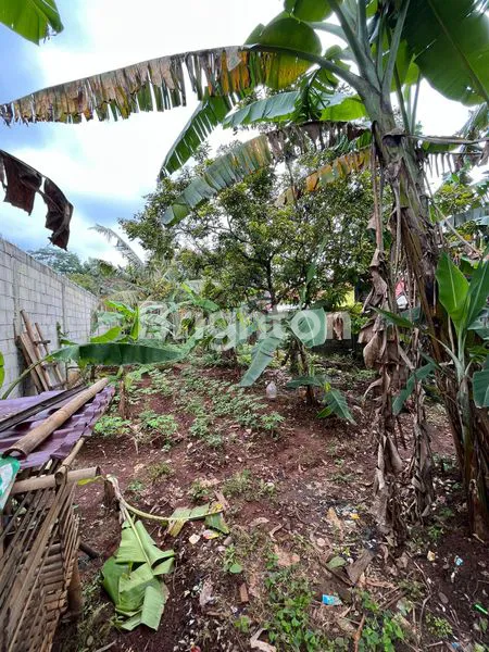 image BENDO LAND (5)