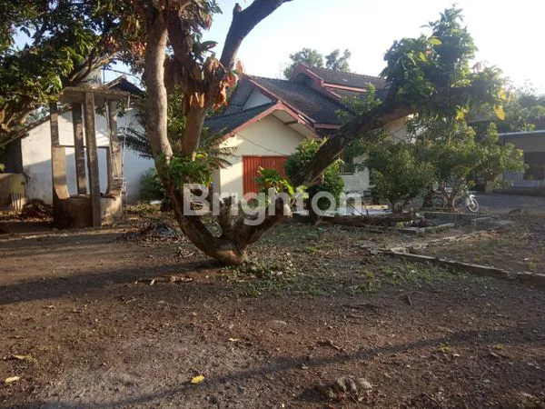 image TANAH BONUS RUMAH COCOK UNTUK HUNIAN, GUDANG DAN PERUMAHAN TERLETAK DI TENGAH KOTA WONOGIRI (1)