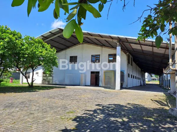 image GUDANG DI PANDAAN PASURUAN (8)