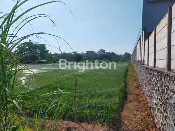 image INVESTASI CERDAS TANAH KOSONG  DAN MURAH,  PINGGIR JALAN PROPINSI DEKAT PINTU TOL MANGKANG SEMARANG (2)