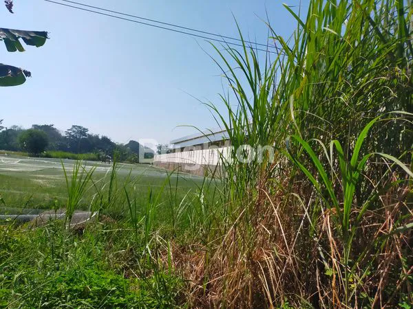 image INVESTASI CERDAS TANAH KOSONG  DAN MURAH,  PINGGIR JALAN PROPINSI DEKAT PINTU TOL MANGKANG SEMARANG (1)