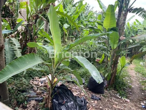 image TANAH DATAR SIAP BANGUN - LOKASI PINTU MASUK DALAM KOMPLEK  (3)