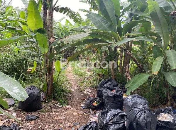 image TANAH DATAR SIAP BANGUN - LOKASI PINTU MASUK DALAM KOMPLEK  (8)