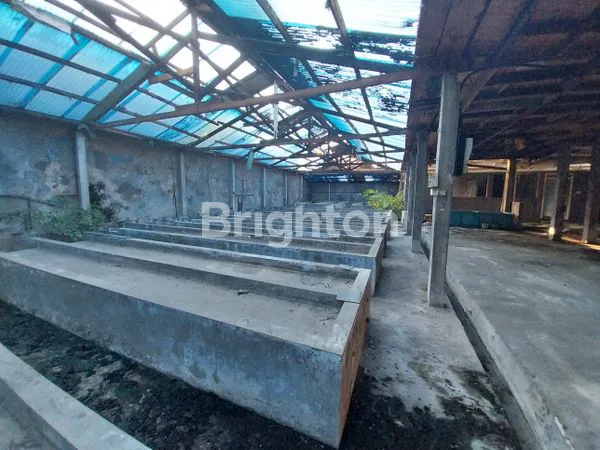 image TANAH JAKARTA SELATAN (5)