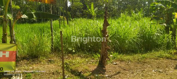 TANAH DEKAT JALUR LINGKAR SALATIGA