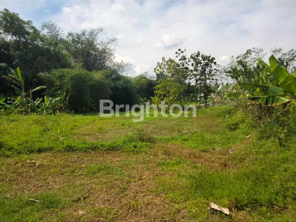 image PLALANGAN  (1)