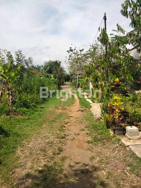 image PLALANGAN  (5)