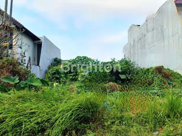 image JUAL TANAH DIENG ROW JALAN LEBAR MALANG (1)