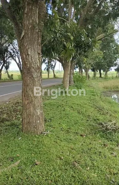 KAVLING JALAN POROS KE PADIVALLEY