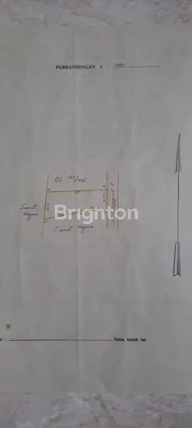 image TANAH ANGGREK 1 MEDAN TUNTUNGAN (2)