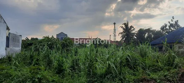 image TANAH ANGGREK 1 MEDAN TUNTUNGAN (1)