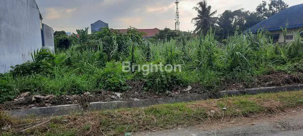 image TANAH ANGGREK 1 MEDAN TUNTUNGAN (3)