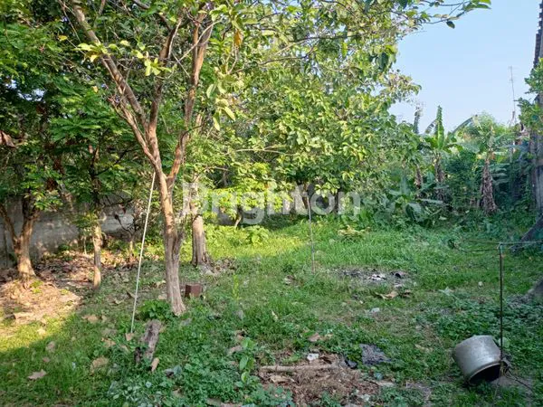 image TANAH LUAS AREA KERTOSONO KAB NGANJUK KEDIRI (1)