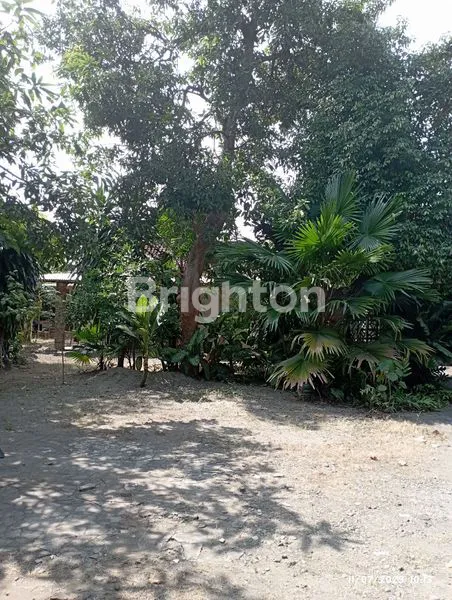image RUMAH LUAS DI URIP SUMOHARJO (3)