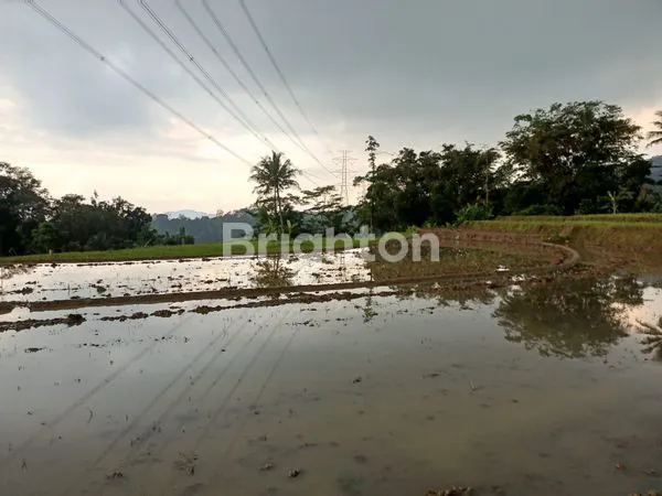 image SAWAH MASIH AKTIF SEGERA DIJUALLOKASI  BENDER - KALISIDI UNGARAN (1)