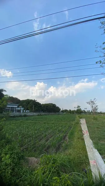 image JUAL TANAH PEKARANGAN DI ZONA INDUSTRI (4)