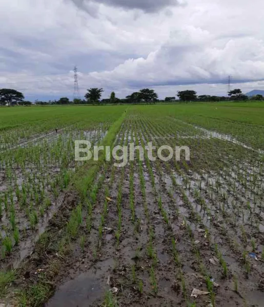 image TANAH LUMAJANG* JL SLAMET RIYADI DAERAH "PELITA" (1)