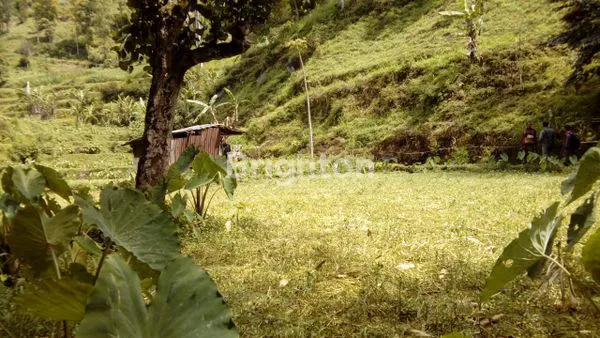 TANAH STRATEGIS PINGGIR JALAN DEKAT DEWI SRI PUJON