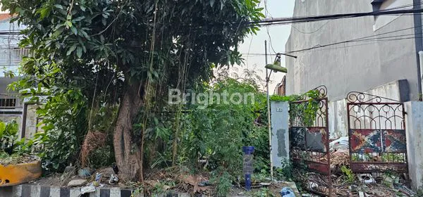 TANAH BRATANG GEDE SURABAYA ROW JALAN 2 MOBIL LOOSSS