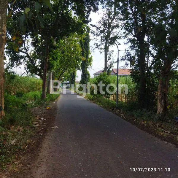 image TANAH PEKARANGAN LUAS 2195M² DI PESANTREN KAB KEDIRI (2)