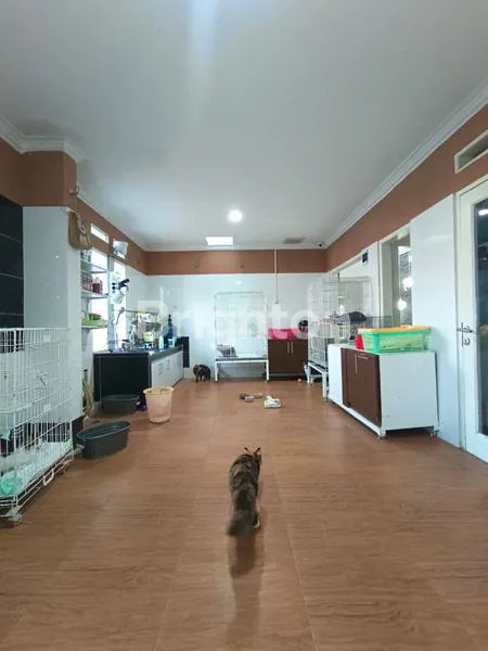 image RUMAH CANTIK TERAWAT DEKAT GERBANG TOL BUAHBATU BANDUNG (5)