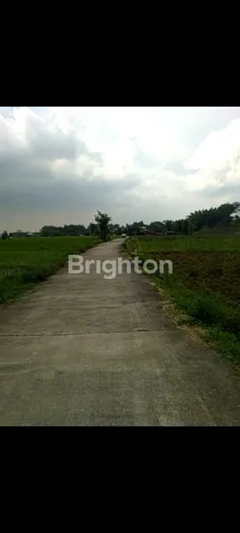 image TANAH KOTAK BAGUS RATA PACET (3)