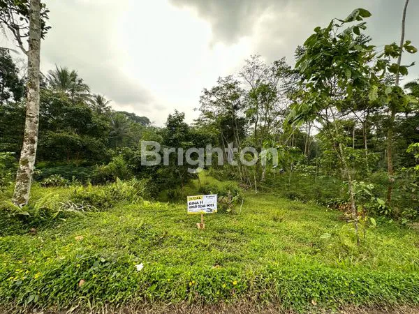 TANAH PERKEBUNAN DI SIKAPAT SUMBANG BANYUMAS