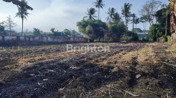 image JUAL TANAH LUAS DI PAKISJAJAR, PAKIS, MALANG (3)