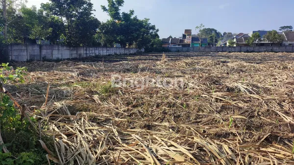 image JUAL TANAH LUAS DI PAKISJAJAR, PAKIS, MALANG (4)