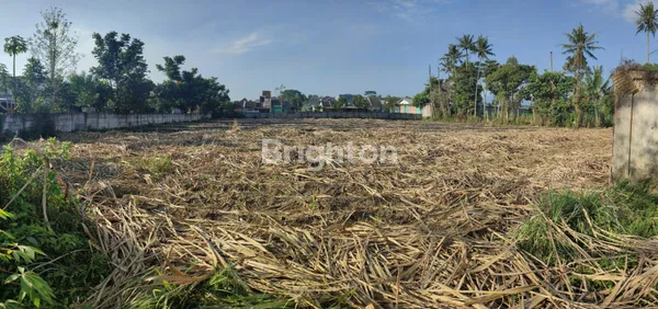 image JUAL TANAH LUAS DI PAKISJAJAR, PAKIS, MALANG (5)