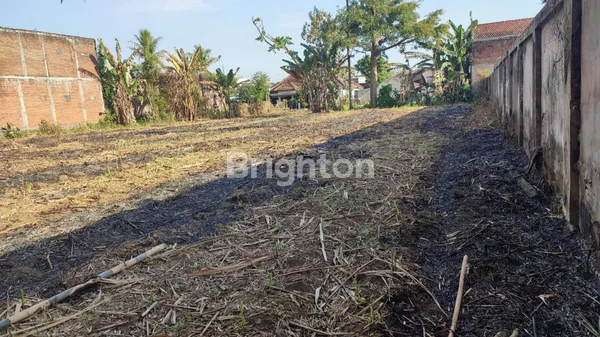 image JUAL TANAH LUAS DI PAKISJAJAR, PAKIS, MALANG (6)