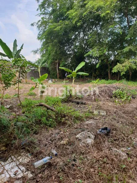 image BANGUNAN SERTA LAHAN ROSEDALE (1)