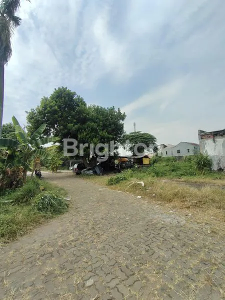 image TANAH STRATEGIS PINGGIR JALAN TOLE ISKANDAR DEPOK (2)