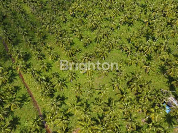 image DI JUAH TANAH (2)