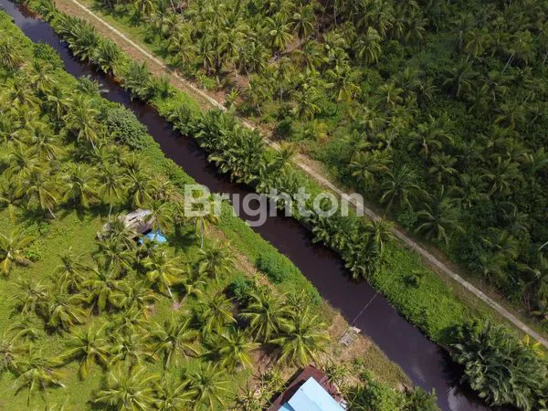 image DI JUAH TANAH (3)