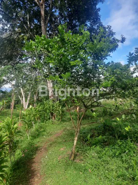 image TANAH KOMERSIL MURAH SIAP BANGUN COCOK UNTUK MINI CLUSTER DI MEGAMENDUNG BOGOR (2)