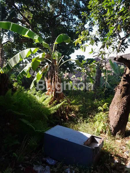 image SUKOHARJO AREA BAKI, TERDAPAT TANAH PEKARANGAN DENGAN LOKASI DI PEMUKIMAN PENDUDUK (1)