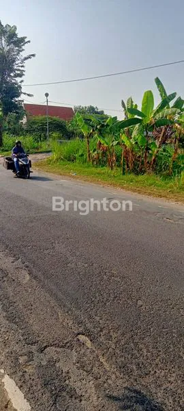 image TANAH LEBAR NOL JALAN PROVINSI GRESIK (2)